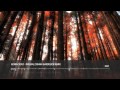 Morphology - Integral Domain (Hardfloor Remix)