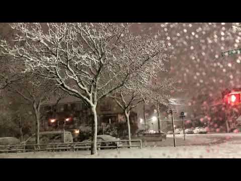 White Christmas                                    Cover; Francesca Cavaliere, International Singer