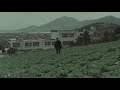 Memories Of Murder 2003 Serpentskirt