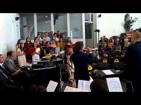 Domn peste pamant- Solo Geanini Pacurar