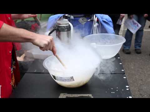 Mealworm and Pecan Ice Cream Experiments