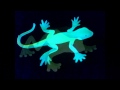 Glow in the Dark Creatures | Video