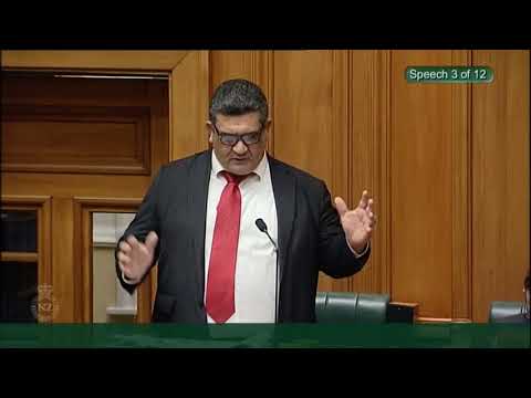 Local Government Regulatory Systems Amendment Bill - First Reading - Video 3
