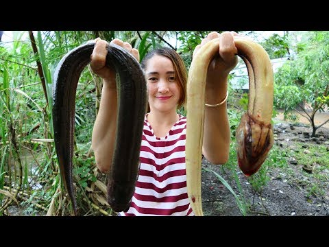 Yummy Eel Cooking Hot Spicy Recipe - Cooking Eel - Cooking With Sros Video