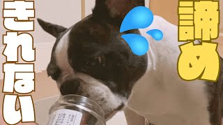 食い意地がすごい😳