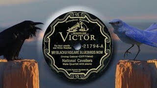 National Cavaliers -  My Backbirds Are Bluebirds Now (1928)