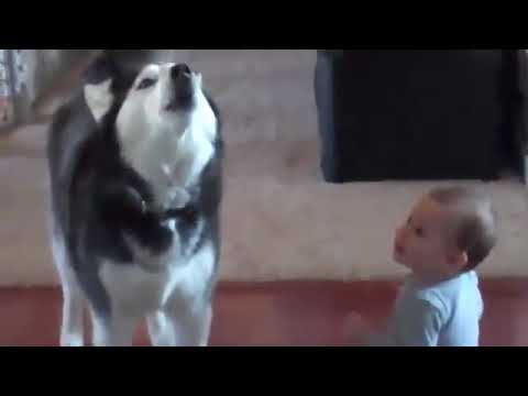 Alassane Pléa goal vs Metz - Nice 1-1