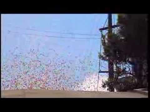 Imagen de previsualización de YouTube