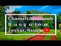 Chameli Memsaab Bungalow | চামেলী মে'মচাহাব বাংলো |Jorhat , Assam | Saikia@Pallab 