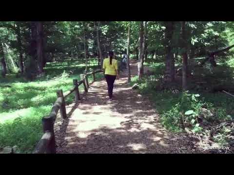 MODEL MODELO FLORES YEIMY