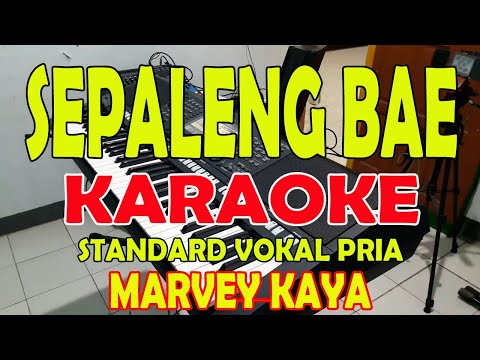PALENG BAE [MARVEY KAYA] KARAOKE VOKAL COWO