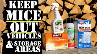 How to Keep Mice Out of Your  | Car | Motorcycle | Storage Areas