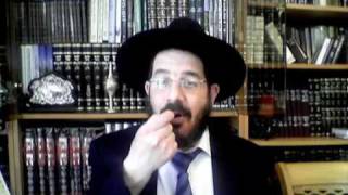 רמב"ם הרב אברהם מלמד-סיפורי ילדים (הרב אברהם מלמד) - התמונה מוצגת ישירות מתוך אתר האינטרנט יוטיוב. זכויות היוצרים בתמונה שייכות ליוצרה. קישור קרדיט למקור התוכן נמצא בתוך דף הסרטון