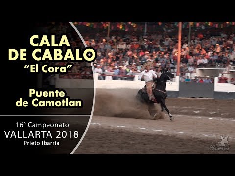 EL CORA Excellent Cala de Caballo - Camotlan Bridge - Prieto Ibarria VALLARTA 2018