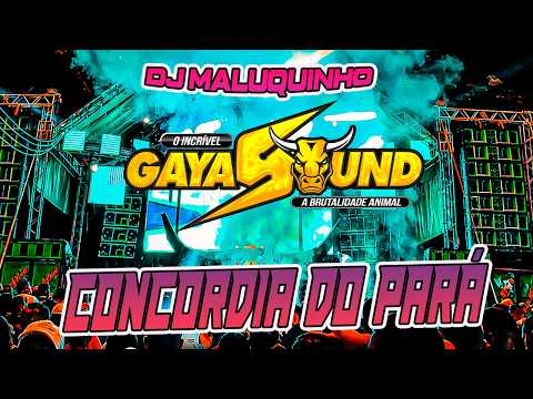 GAYA SOUND - CONCORDIA - DJ MALUQUINHO