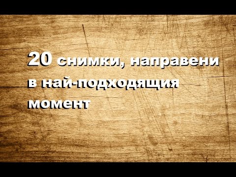 20 снимки, направени в най-подходящия момент (20 photos taken at the right moment)