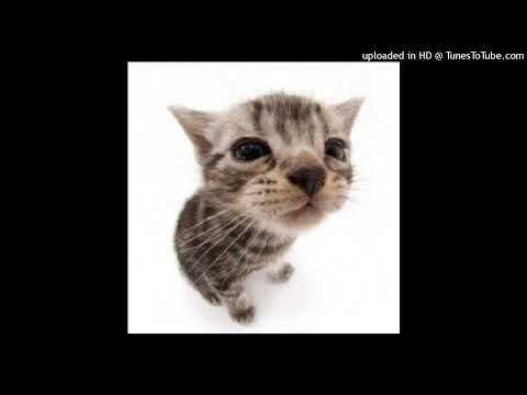 FREE ♱ 17 seventeen x cupsize x alternative rock x pop punk type beat "37.2" [prod. swkillmee]