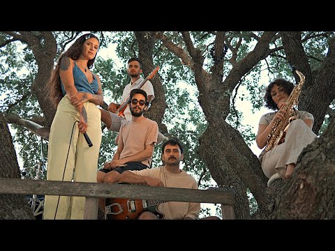 Shaqdi - Lover (Treehouse Session)