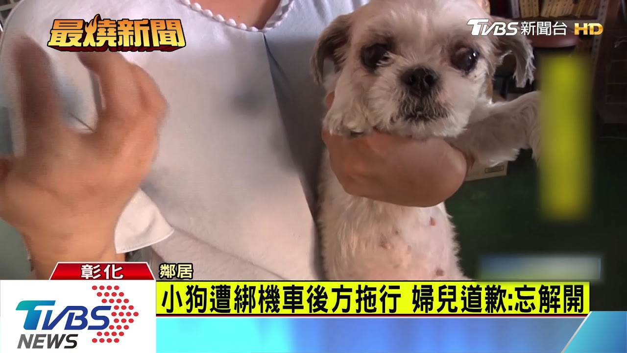 小狗遭綁機車後方拖行 婦兒道歉:忘解開
