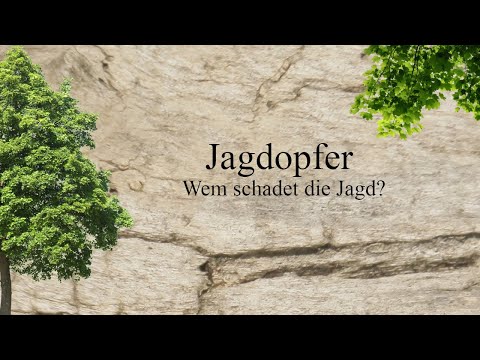 Geschichte des Waldes - Jagdopfer