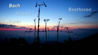 Concert Mardi 31 juillet "A l'ombre du Canigou" Festival Pablo Casals