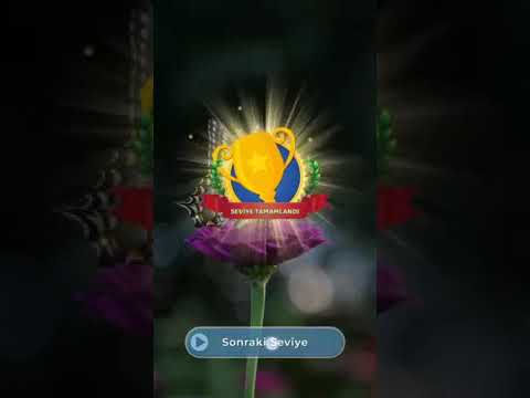 Word Hunt - Kelime Avi Video