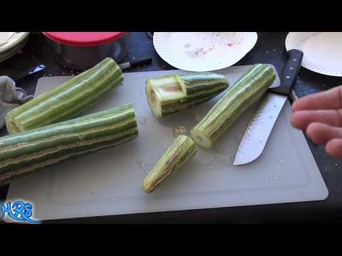 download lagu mp3 mp4 Painted Serpent Cucumber Recipe, download lagu Painted Serpent Cucumber Recipe gratis, unduh video klip Painted Serpent Cucumber Recipe
