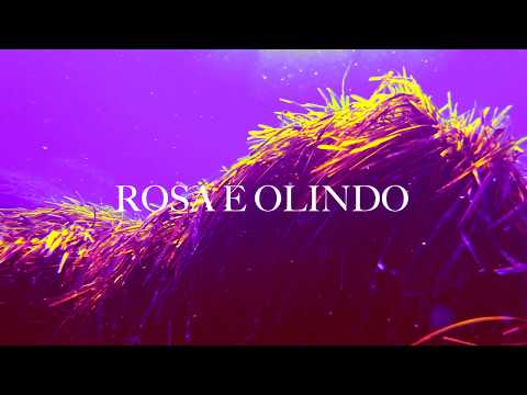 Video thumbnail for Rosa e Olindo