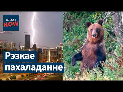 Падрабязнасці трагедыі ў Менску. Напад мядзведзя. Здарэнне ў Лунінцы. Рэзкае пахаладанне ў Беларусі