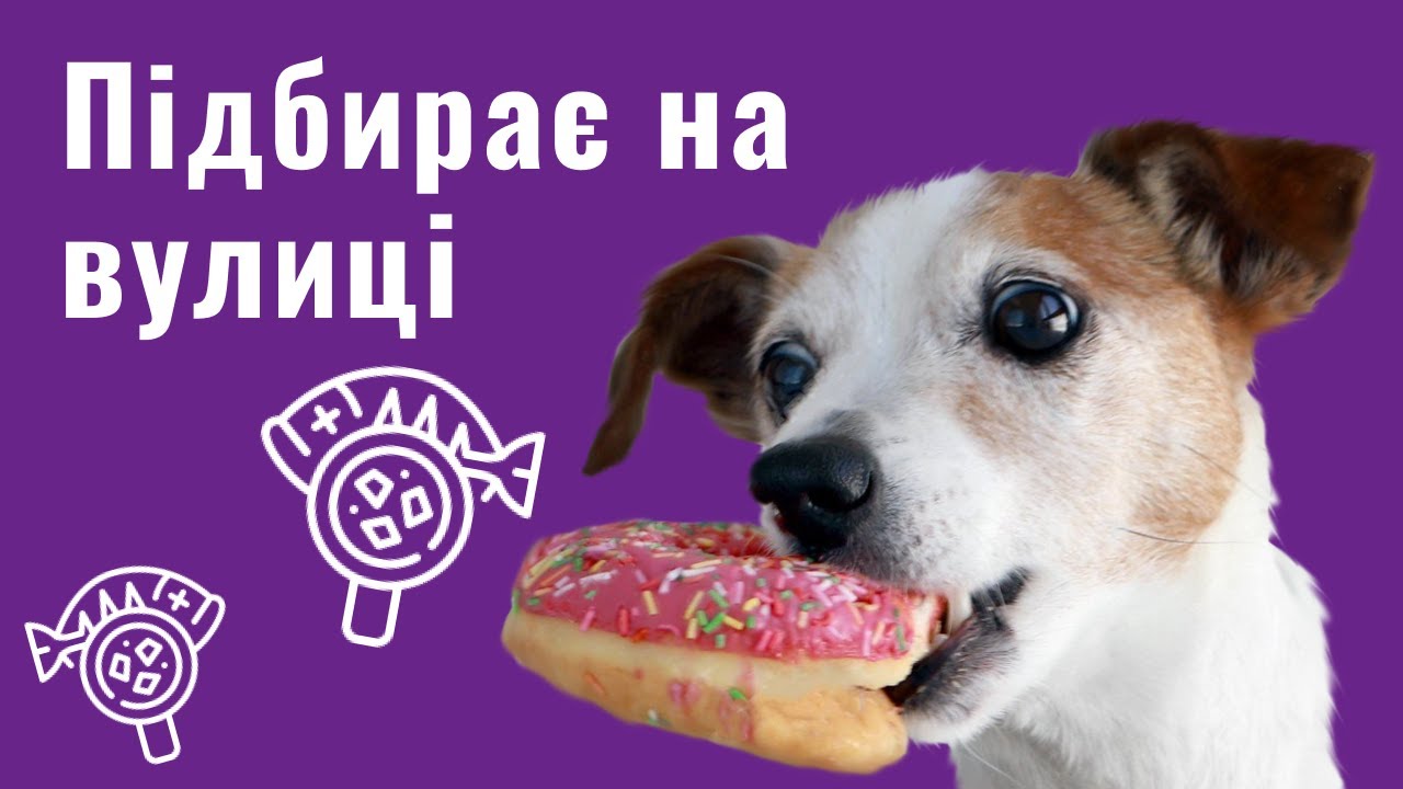 YouTube video preview