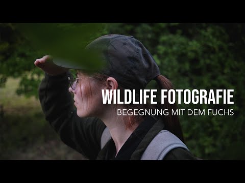 My Encounter with the Fox | WILDLIFE PHOTOGRAPHY with FUJIFILM X-T4 (100-400mm)