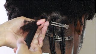 Starting Locs Tutorial | HIGHLY REQUESTED