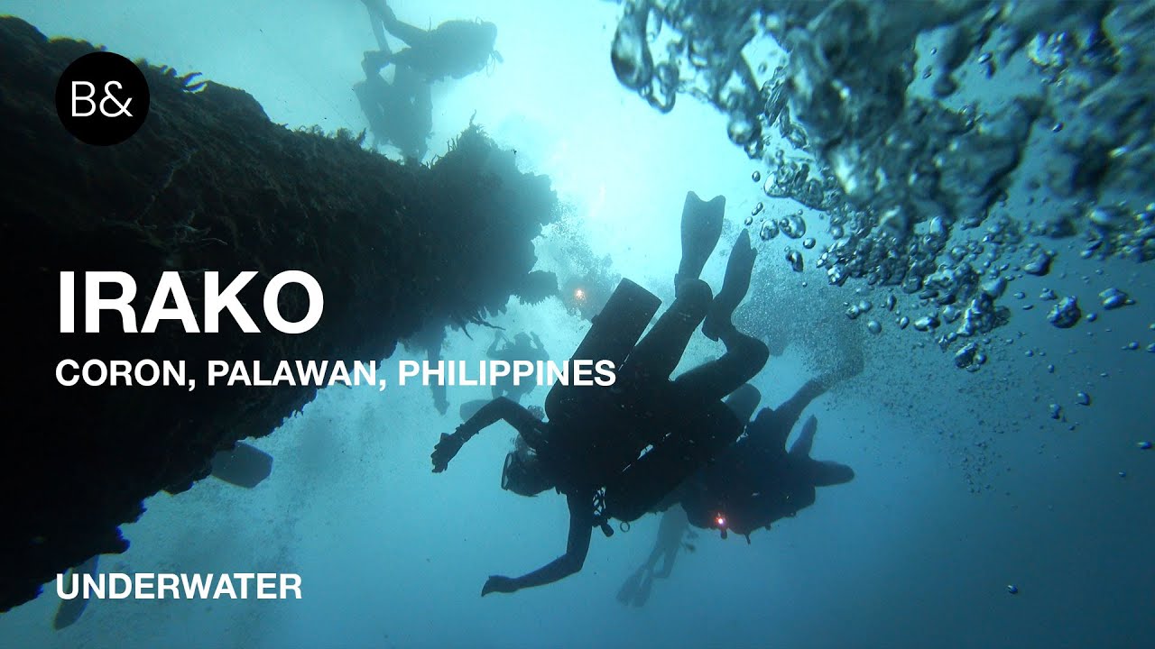 Experience the highlights of Irako Maru shipwreck diving.