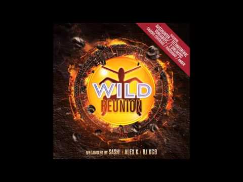 WILD REUNION 4 - ALEX K WILD REUNION MEGAMIX