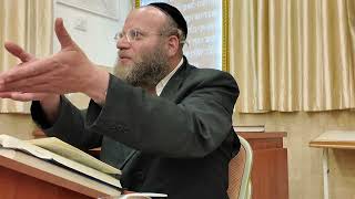 פרשת שופטים תשפ"ה | הרב צבי חלמיש שליט"א | אור החיים