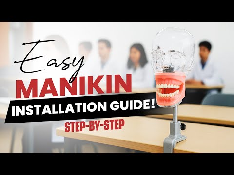 Dental Manikin M1003-3 Setup | Top Dental Manikin for Dental Training & Education