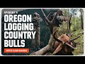 Oregon Logging Country Bulls