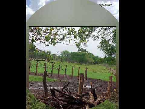 "Madrugada en el Llano"