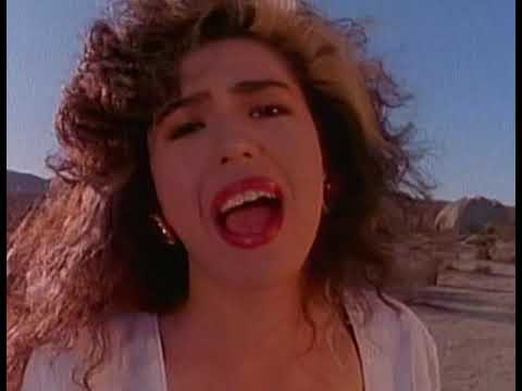 Show-Ya - 叫び (Sakebi) (Music Video)