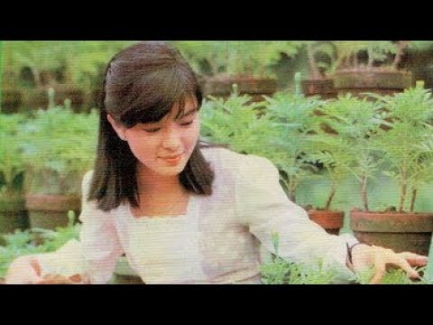 你那好冷的小手 - 銀霞【高音質｜動態歌詞】