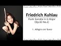 Friedrich Kuhlau - Sonata in G Major Op.83 No.1 - I. Allegro con fuoco #플루트 윤현임