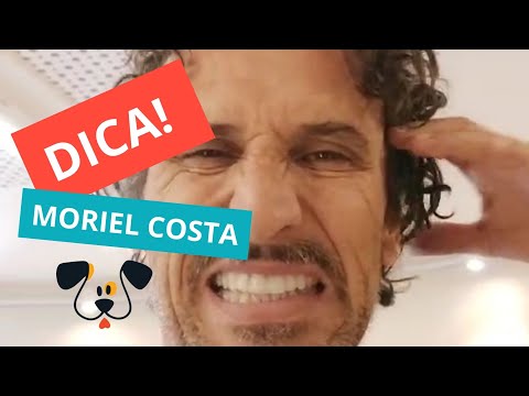 Moriel Costa, Vocalista da Banda Dazaranha