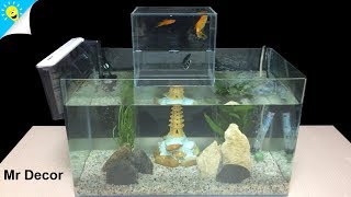 How to make Upside Down Fish Tank Amazing and Simple - DIY Aquarium Setup