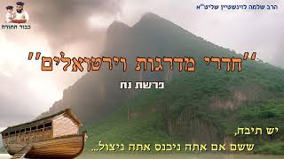 ''חדרי מדרגות וירטואלים'' - הרב שלמה לוינשיין שליט''א (פרשת נח) (הרב שלמה לוינשטיין) - התמונה מוצגת ישירות מתוך אתר האינטרנט יוטיוב. זכויות היוצרים בתמונה שייכות ליוצרה. קישור קרדיט למקור התוכן נמצא בתוך דף הסרטון ''חדרי מדרגות וירטואלים'' - הרב שלמה לוינשיין שליט''א (פרשת נח) (הרב שלמה לוינשטיין) - התמונה מוצגת ישירות מתוך אתר האינטרנט יוטיוב. זכויות היוצרים בתמונה שייכות ליוצרה. קישור קרדיט למקור התוכן נמצא בתוך דף הסרטון