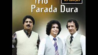 Estrela De Ouro Lyrics English Translation