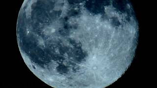 Full Moon Rise UFO / IFO (birds,bats,etc.) Out-takes zoomed/slow motion V10209