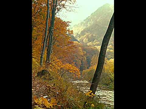 Willi Forst / Michael Jary - Ich kenn ein kleines Wegerl im Helenental