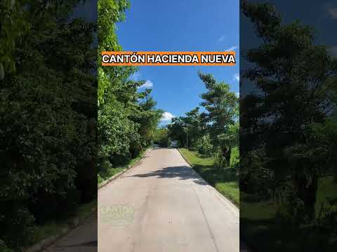 Cantón Hacienda Nueva Concepción Batres Usulután  #elsalvador #videoreels #viralshorts