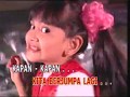Kapan Kapan Mega Utami Rak VCD