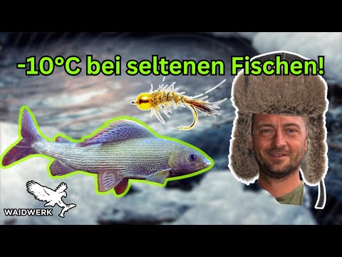 Winterliches Äschenangeln im Lungau: Tipps und Tricks mit Max Schiedt
